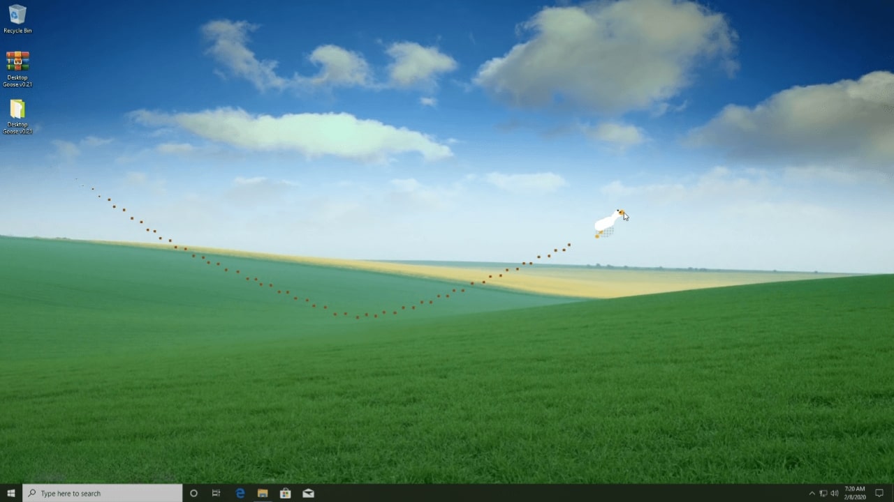 Desktop GooseScreenshot 1